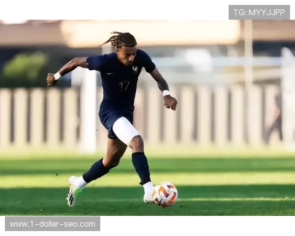 巴尔科拉表现稳定性与未来预期分析